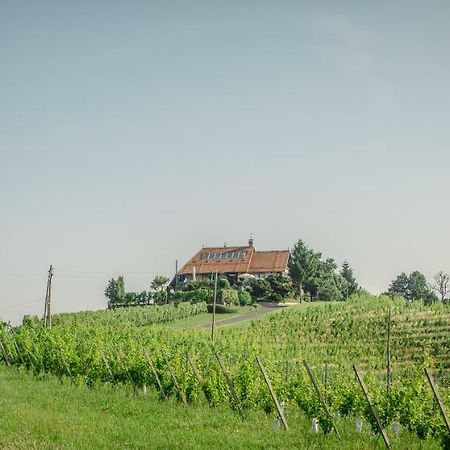 Taverna & Wine Jeruzalem Ivanjkovci ภายนอก รูปภาพ