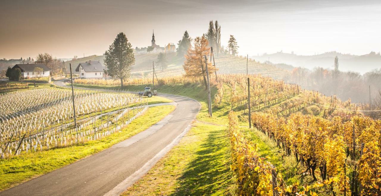 Taverna & Wine Jeruzalem Ivanjkovci ภายนอก รูปภาพ