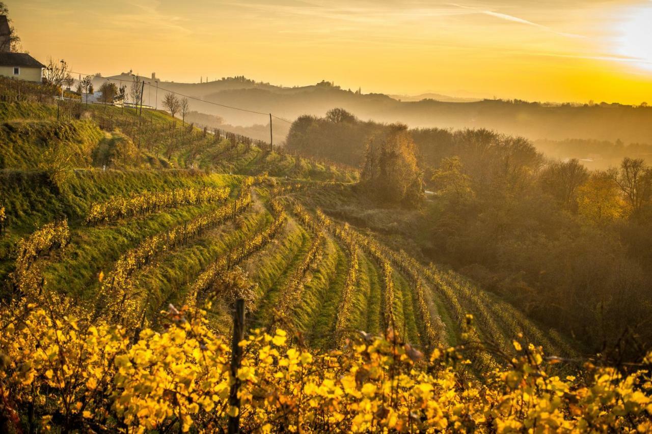Taverna & Wine Jeruzalem Ivanjkovci ภายนอก รูปภาพ