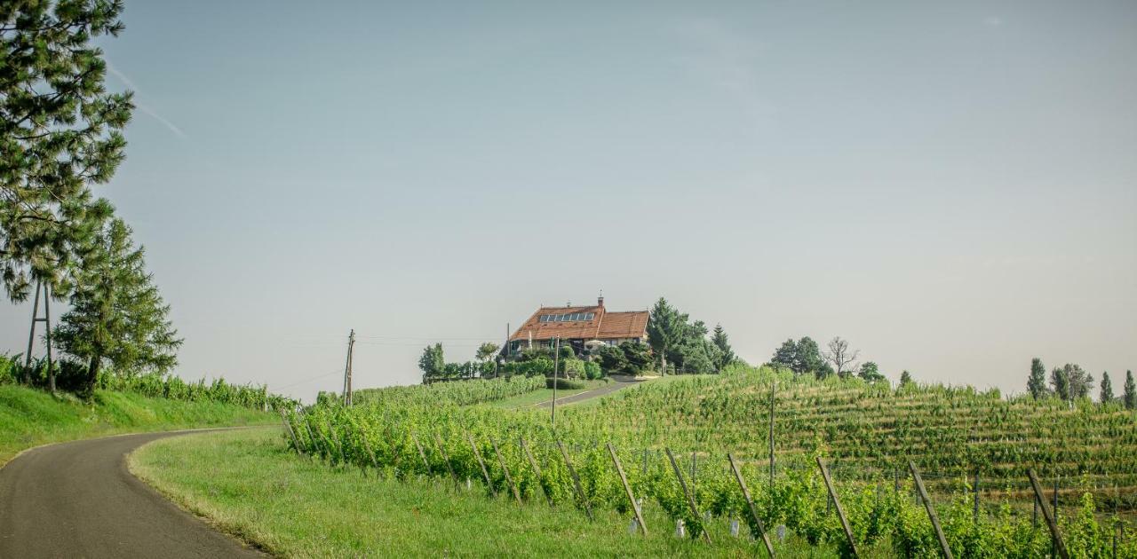Taverna & Wine Jeruzalem Ivanjkovci ภายนอก รูปภาพ